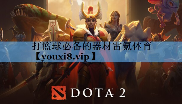 打篮球必备的器材雷氪体育