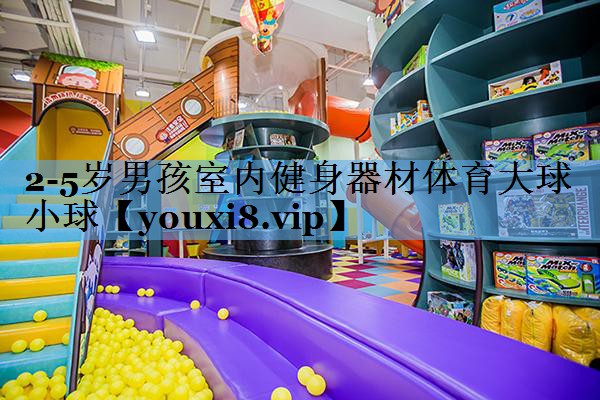 2-5岁男孩室内健身器材体育大球小球