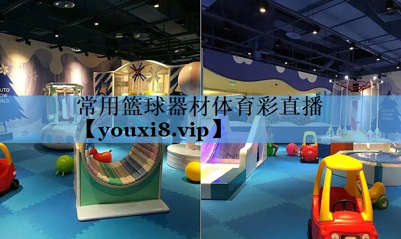 常用篮球器材体育彩直播
