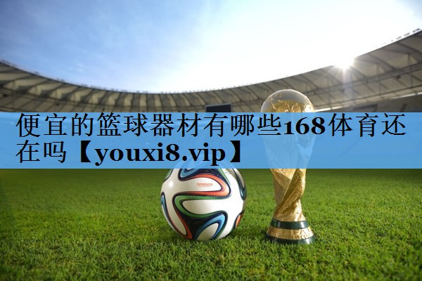 便宜的篮球器材有哪些168体育还在吗