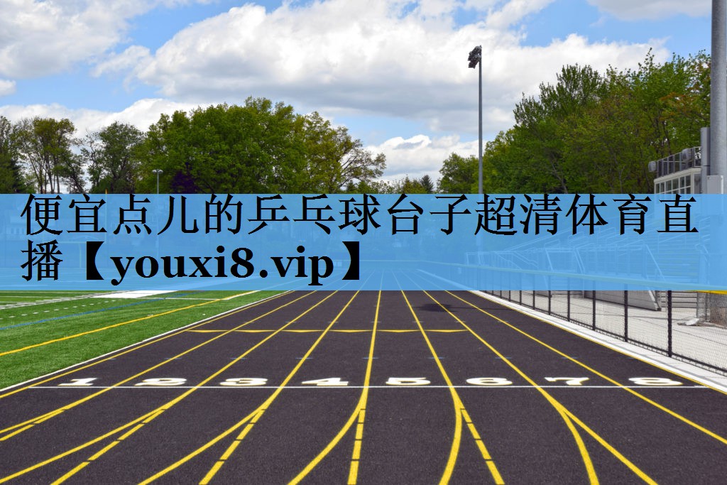 便宜点儿的乒乓球台子超清体育直播