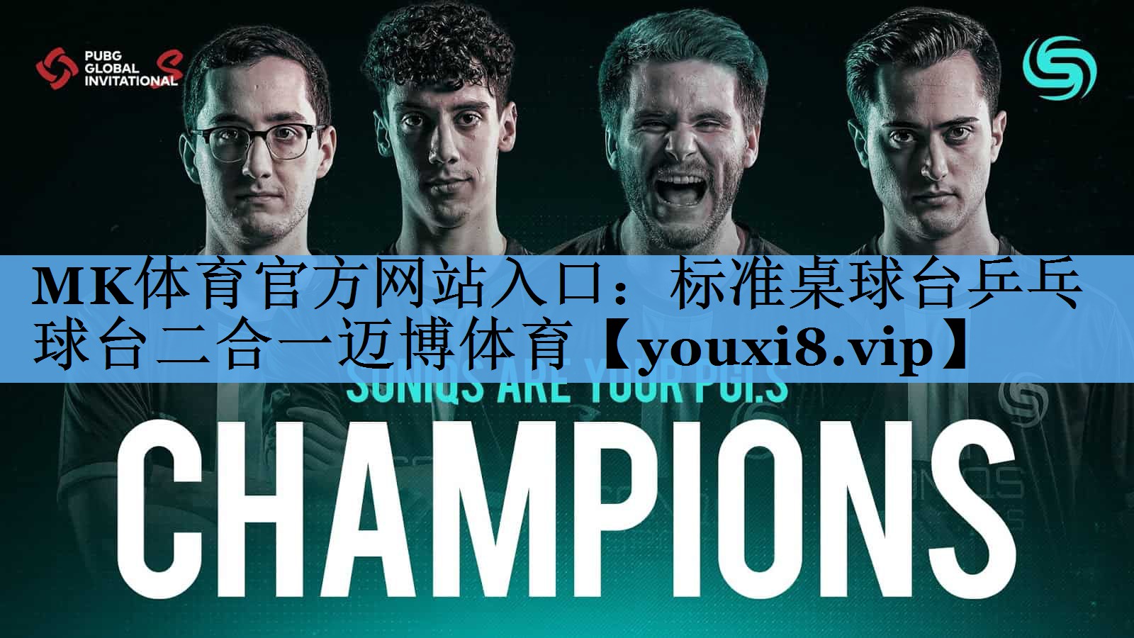 MK体育官方网站入口：标准桌球台乒乓球台二合一迈博体育