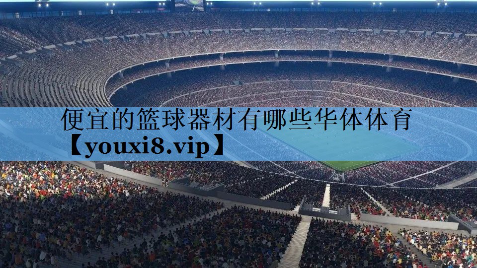 便宜的篮球器材有哪些华体体育