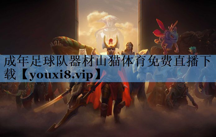成年足球队器材山猫体育免费直播下载