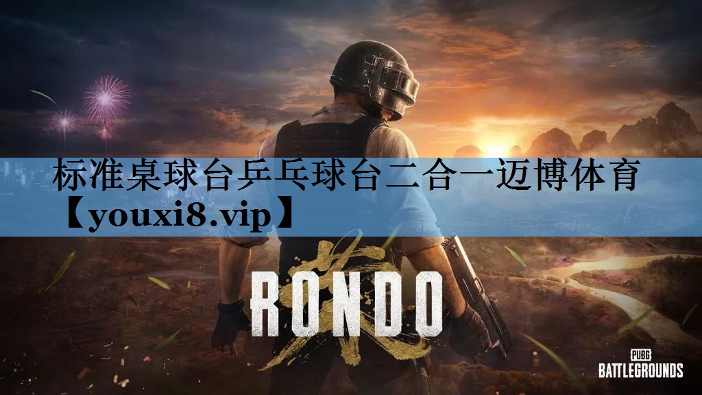 标准桌球台乒乓球台二合一迈博体育