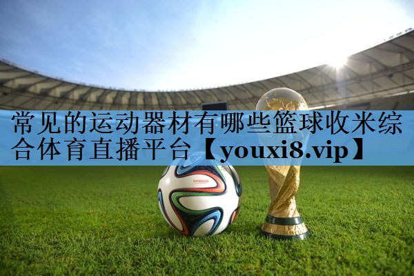 常见的运动器材有哪些篮球收米综合体育直播平台