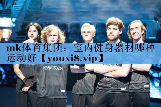 mk体育集团：室内健身器材哪种运动好