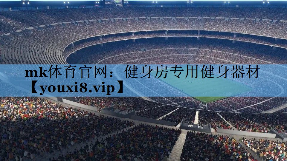 健身房专用健身器材 健身房专用健身器材