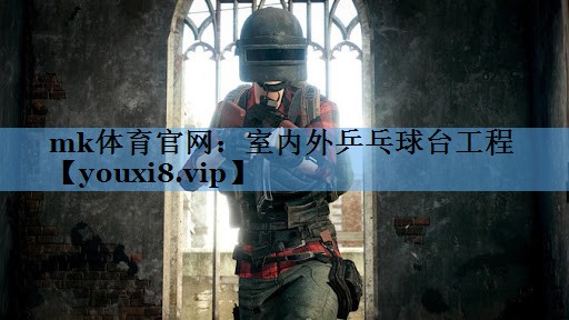 室内外乒乓球台工程 室内外乒乓球台工程